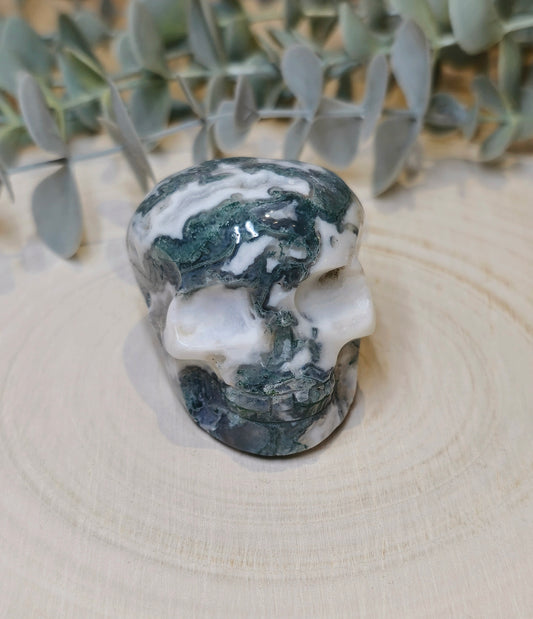 Crâne Agate mousse