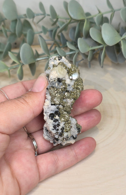 Pyrite dans Quartz brute