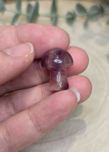 Champignon en Fluorite