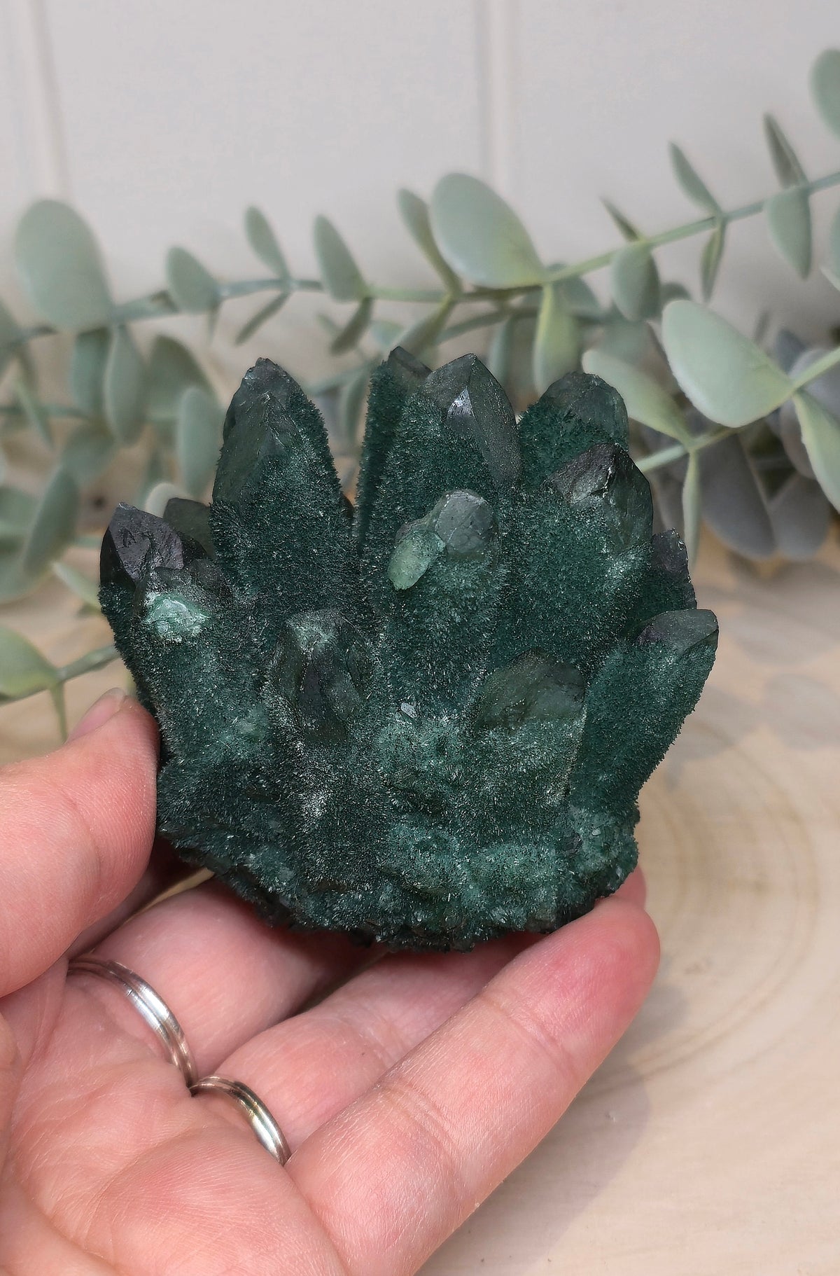 Quartz Chromium vert brute
