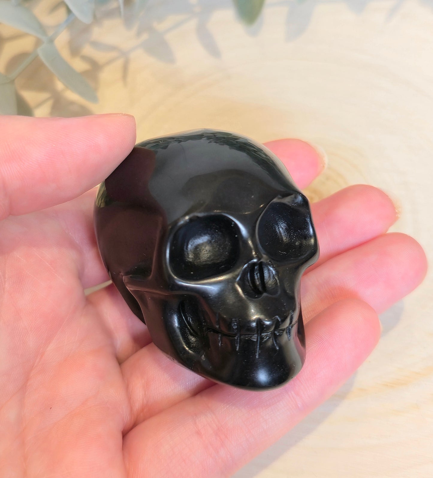 Crâne Obsidienne