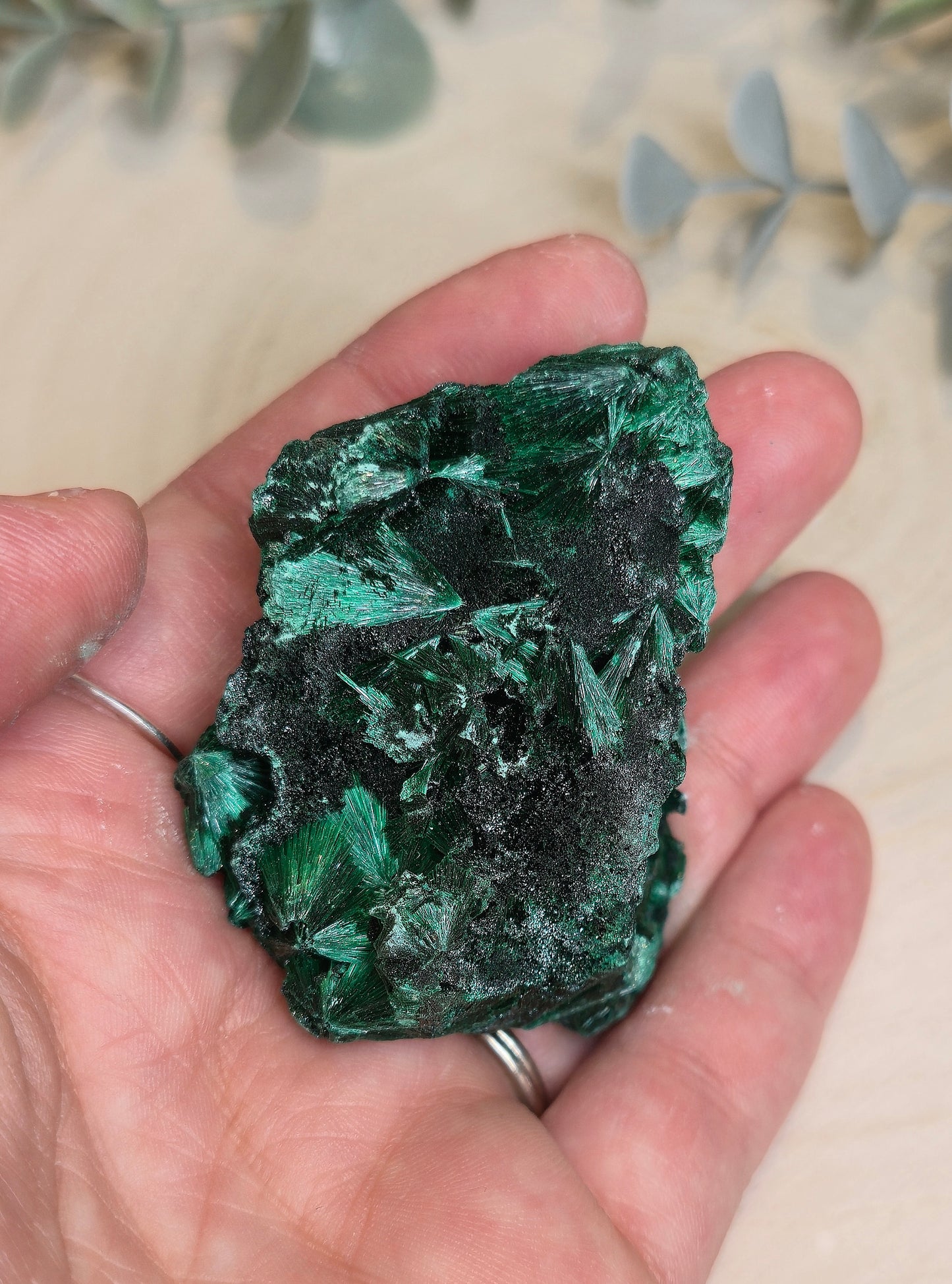 Malachite velour brute de l'Afrique