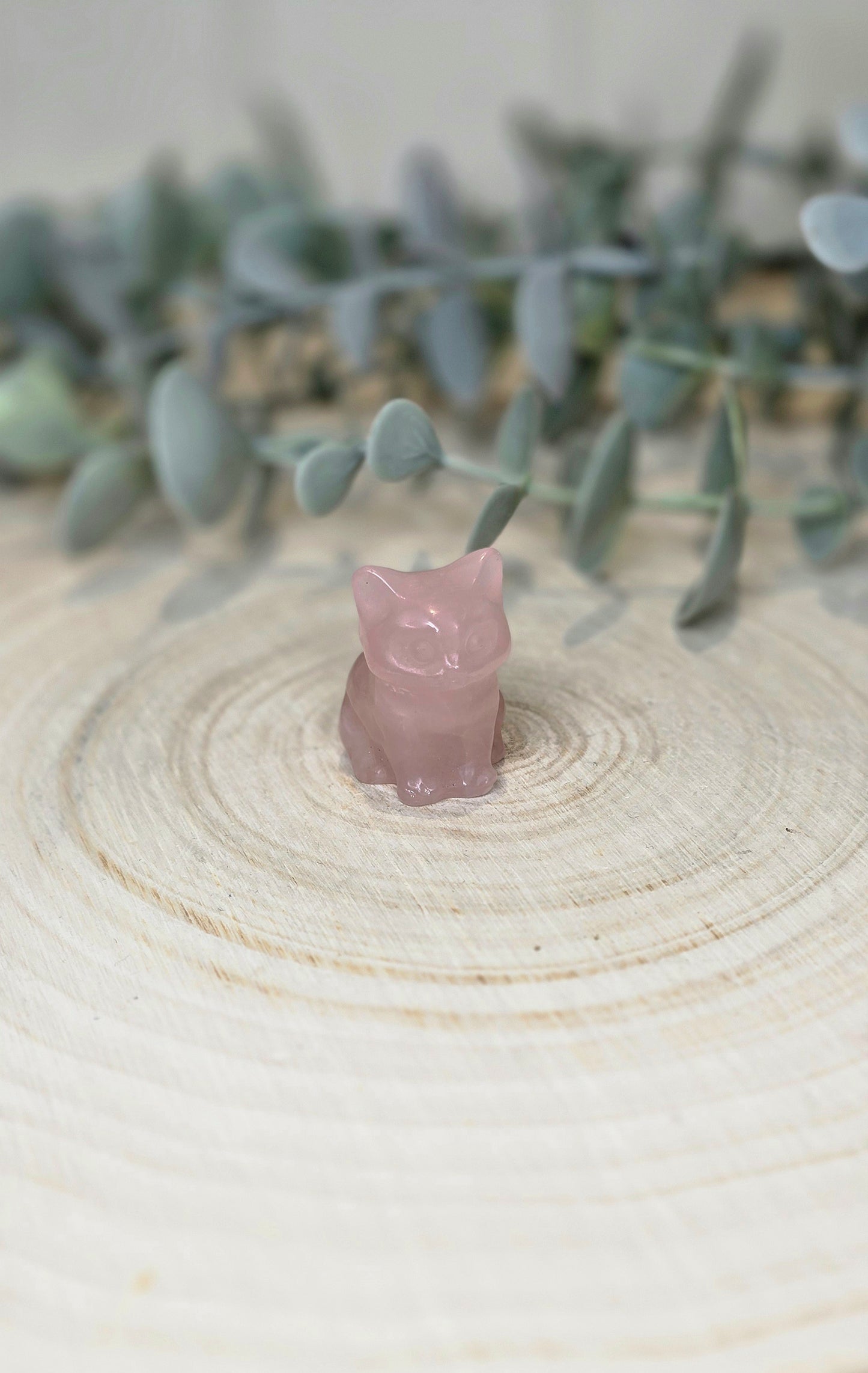 Chat en Quartz rose