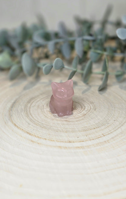 Chat en Quartz rose