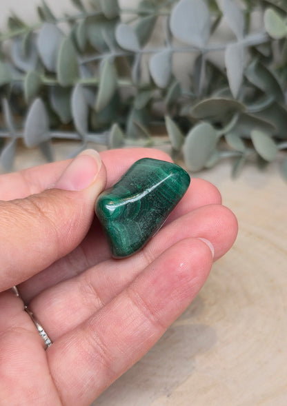 Freeform Malachite