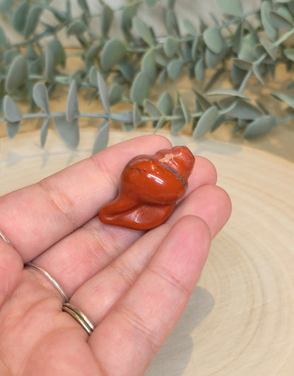 Coquillage Jaspe Rouge
