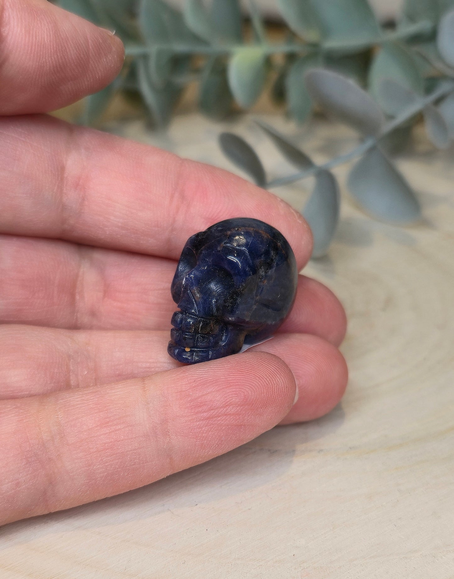 Mini Crâne en Sodalite