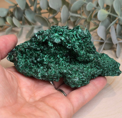 Malachite velour brute de l'Afrique