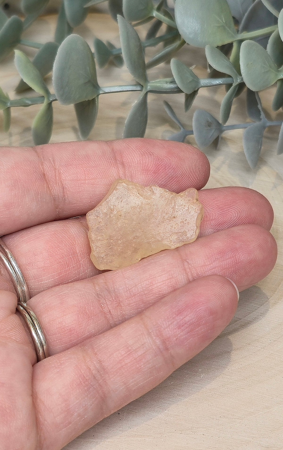 Verre de Libye du Désert du Sahara (Égypte)