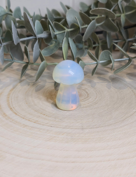 Champignon Opalite