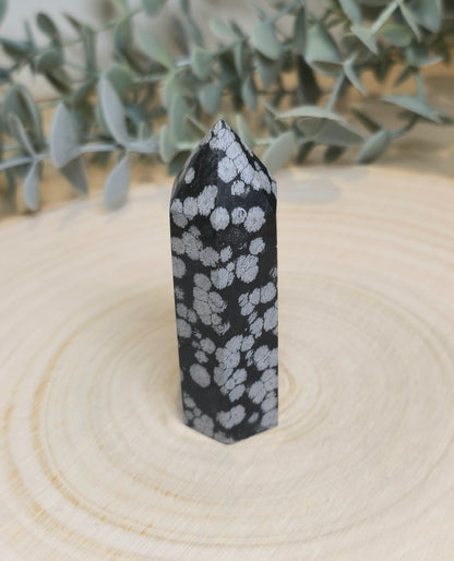 Pointe en Obsidienne snowflake