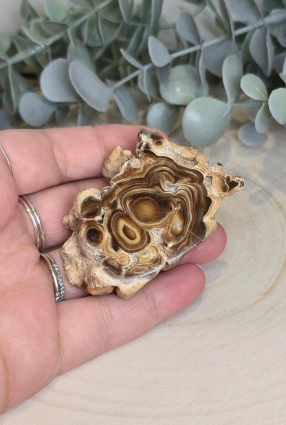 Tranche de Stalactite Aragonite