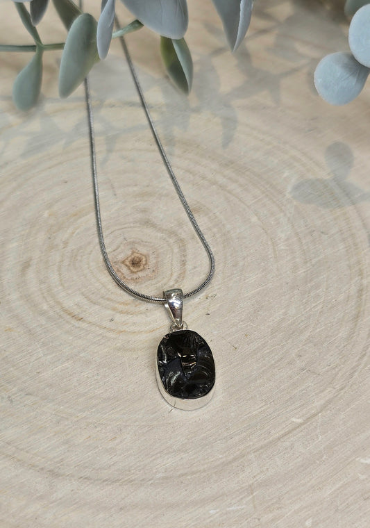 Collier Shungite