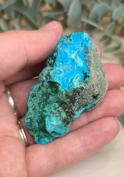 Chrysocolle Malachite du l'Afrique