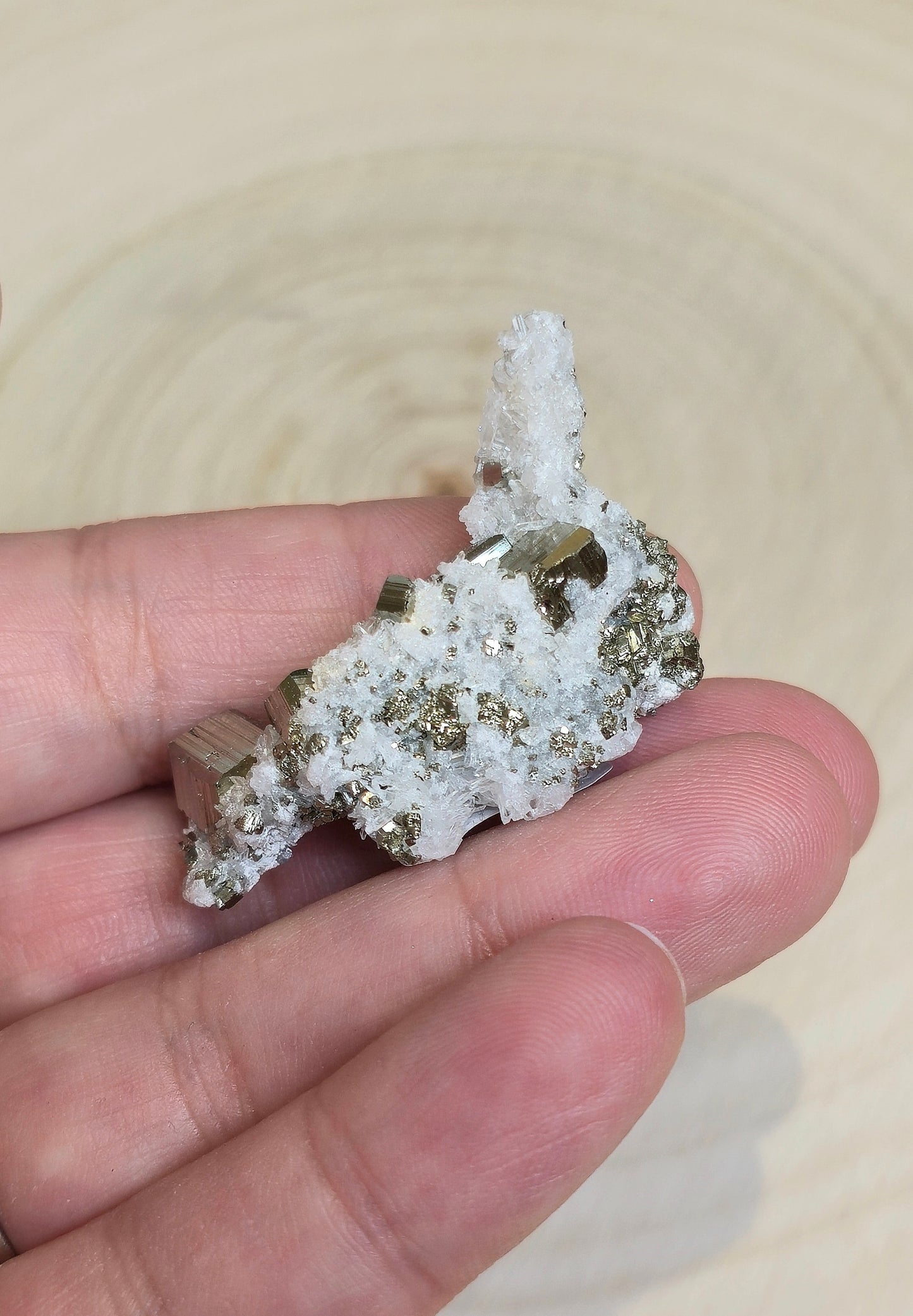 Pyrite dans Quartz clair brute