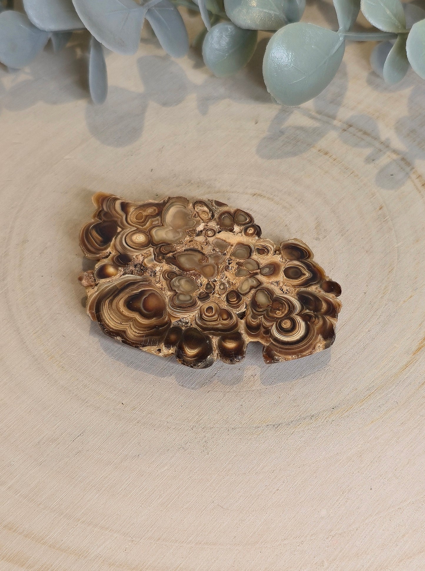 Tranche de Stalactite Aragonite