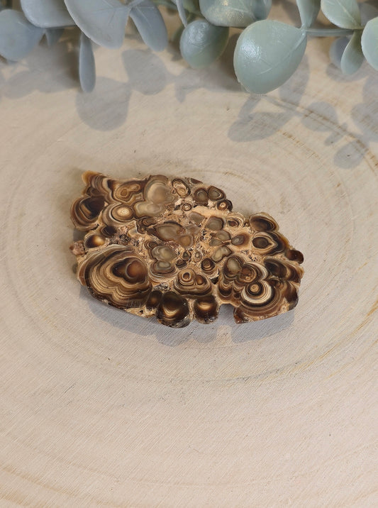 Tranche de Stalactite Aragonite