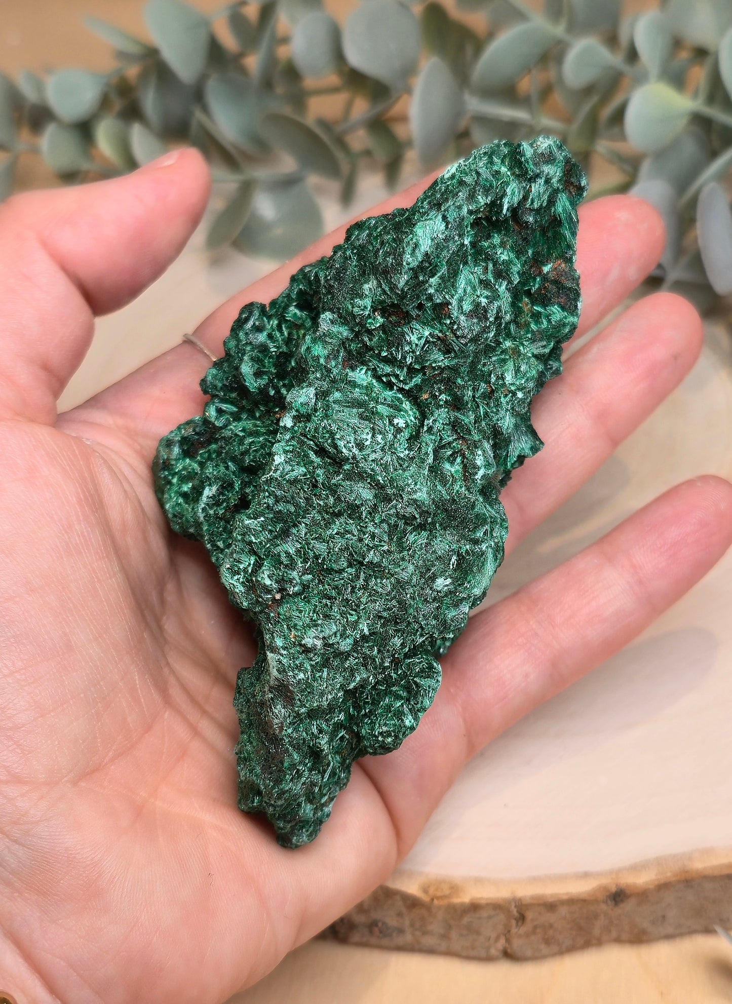 Malachite velour brute de l'Afrique
