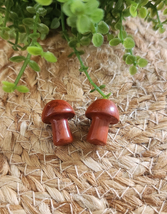 Champignon en Jaspe rouge