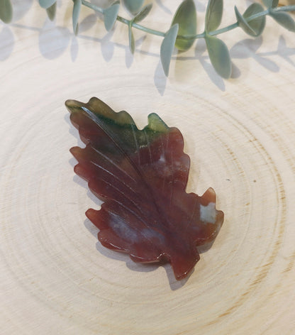 Feuille Jaspe Océan