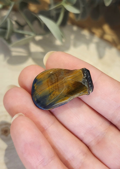 Pietersite barattée