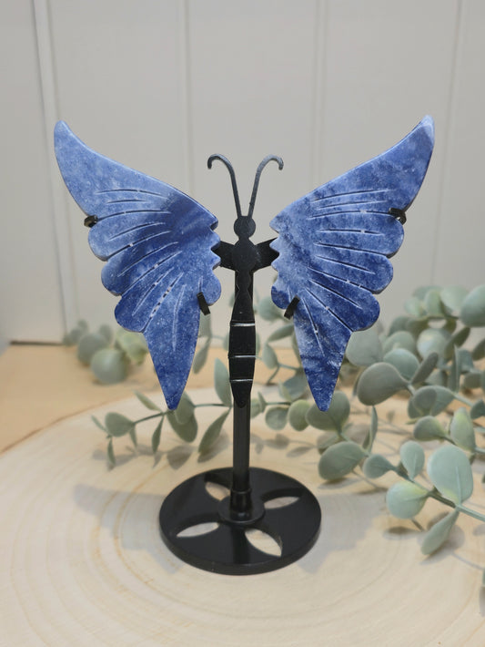 Papillon Aventurine bleue