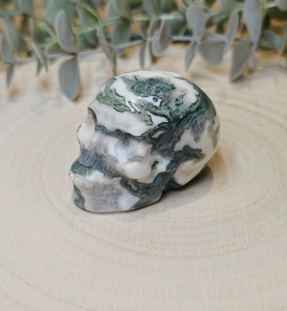 Crâne Agate mousse