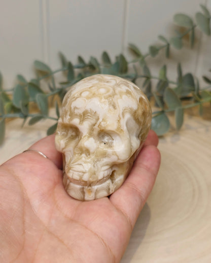 Crâne Agate Fleur ambrée