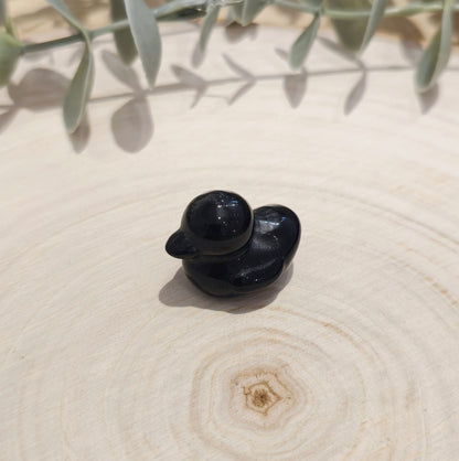 Canard Obsidienne