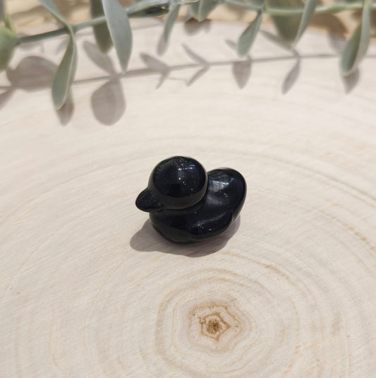 Canard Obsidienne