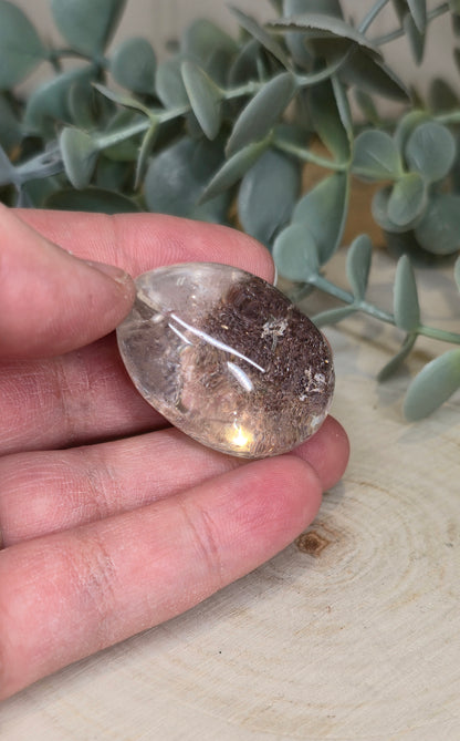 Freeform Lodolite (Quartz shaman)
