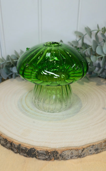 Vase champignon vert/transparent