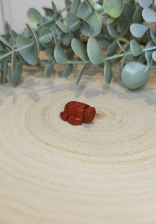 Tortue en Jaspe rouge