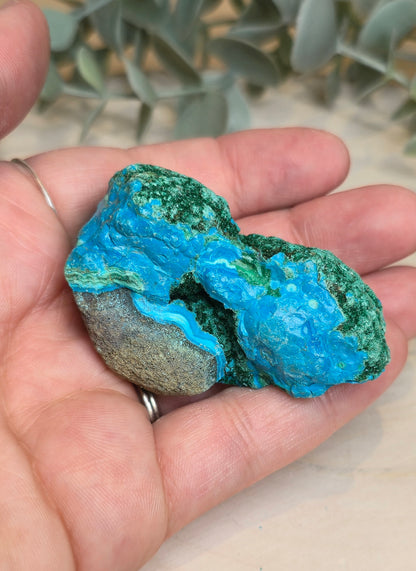 Chrysocolle Malachite du l'Afrique