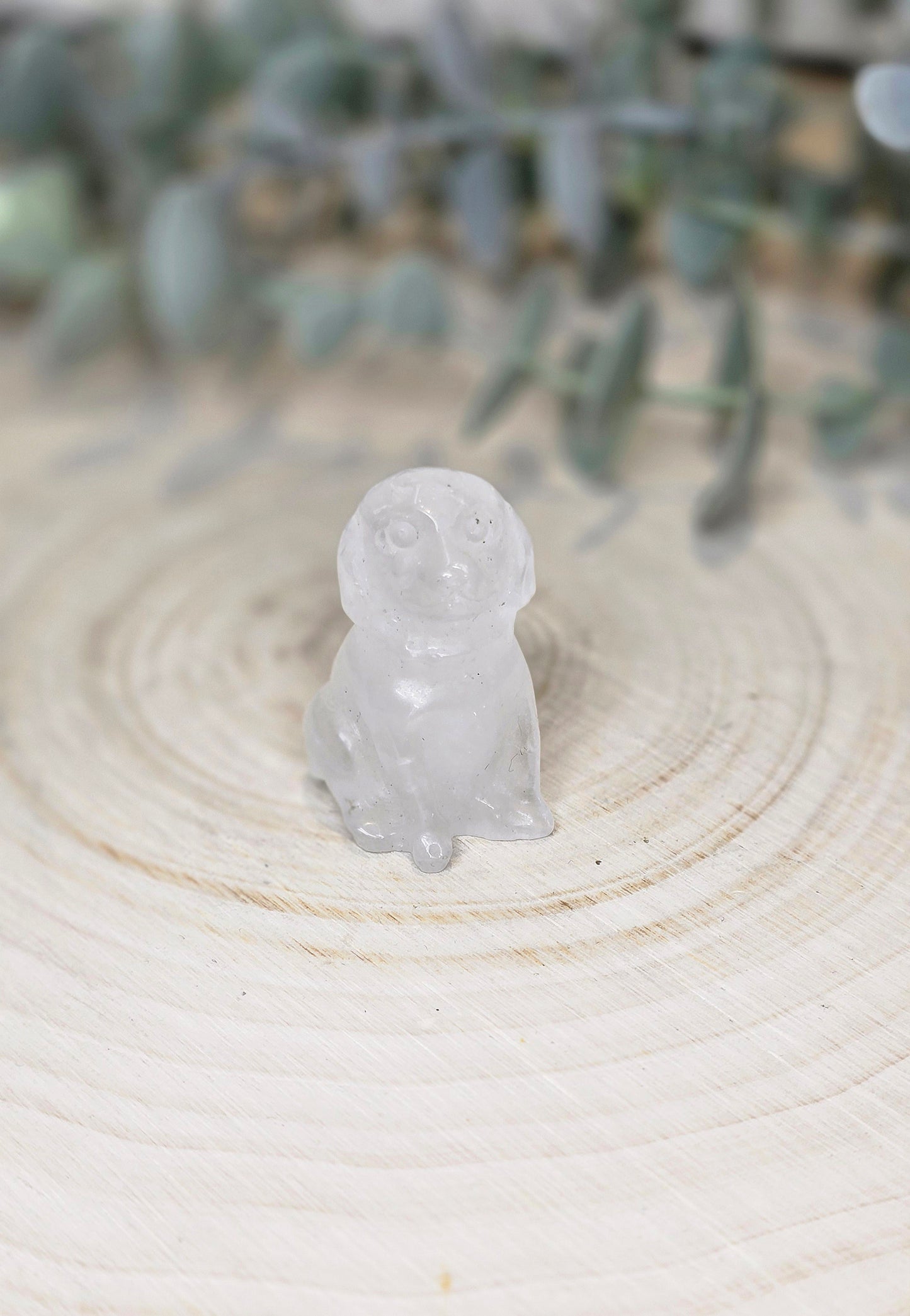 Chien en Quartz clair