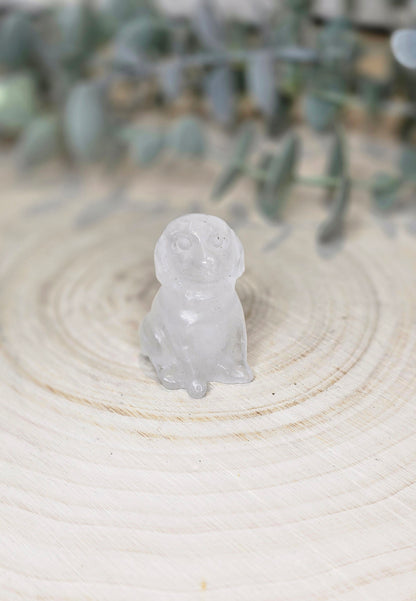 Chien en Quartz clair