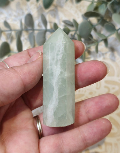 Pointe Calcite des caraïbes