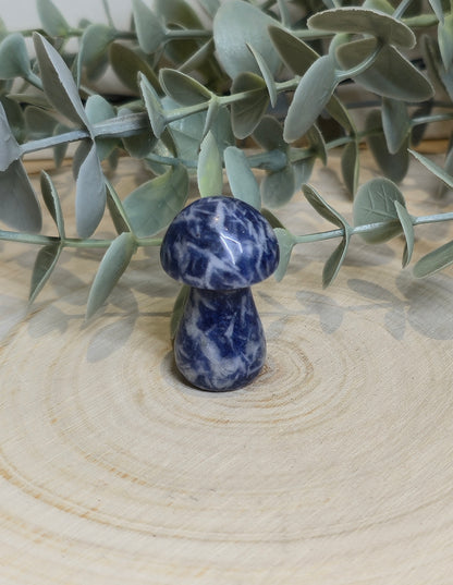 Champignon Jaspe bleu spot