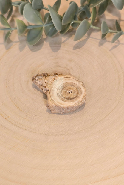 Tranche de Calcite Stalactite du Maroc
