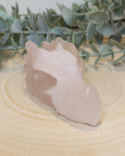 Dragon Quartz rose