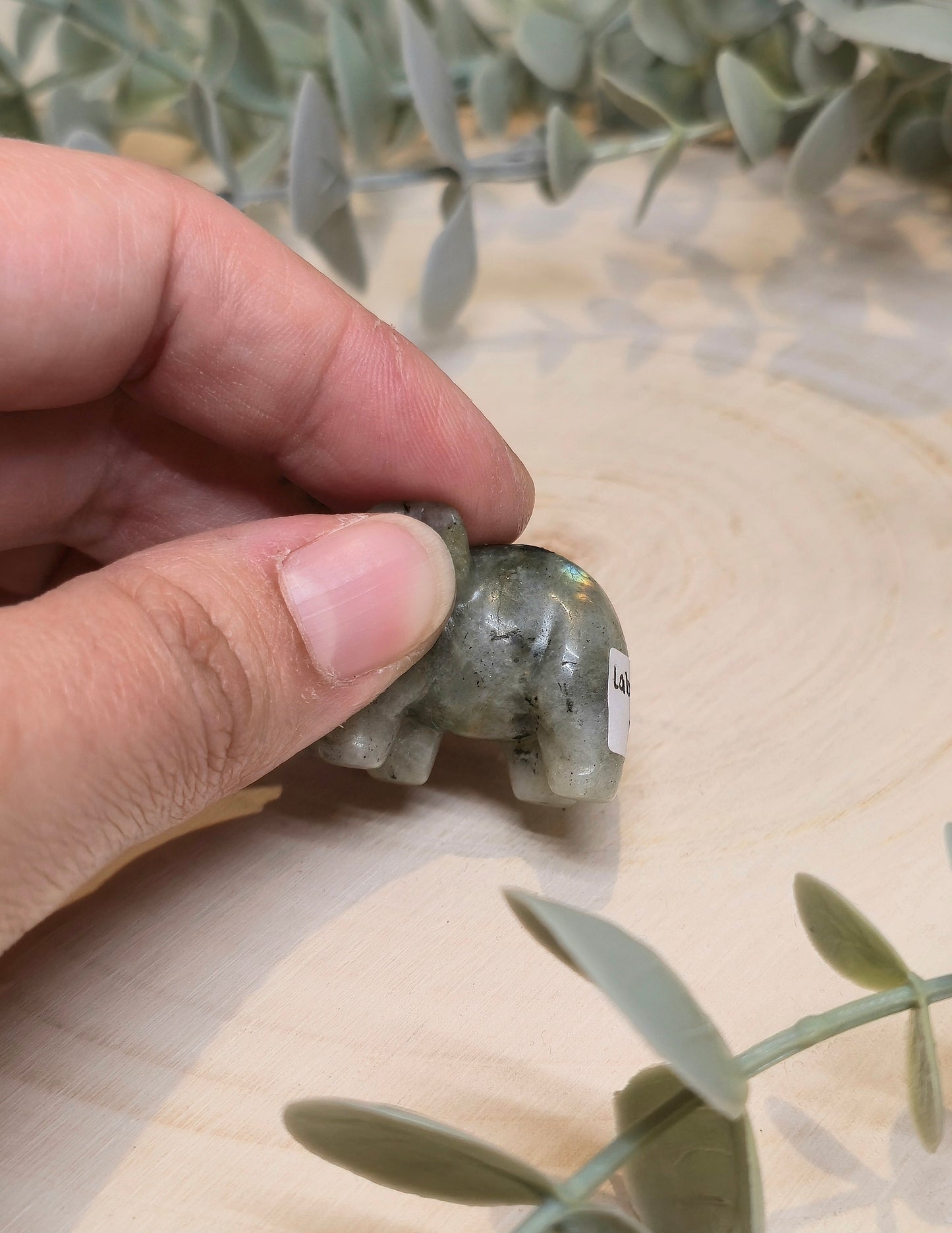 Éléphant Labradorite