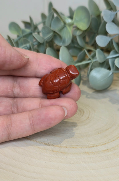 Tortue en Jaspe rouge