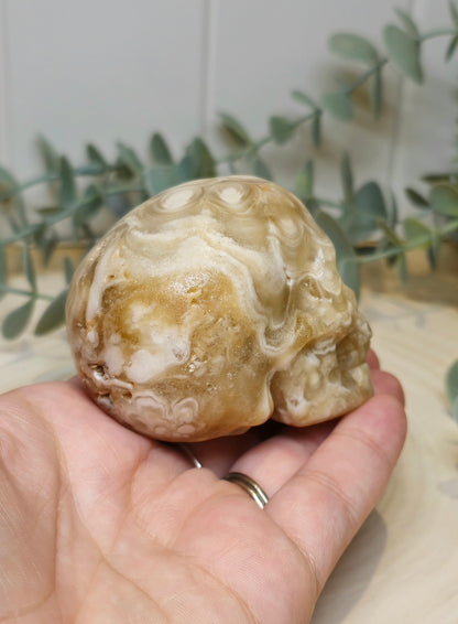 Crâne Agate Fleur ambrée