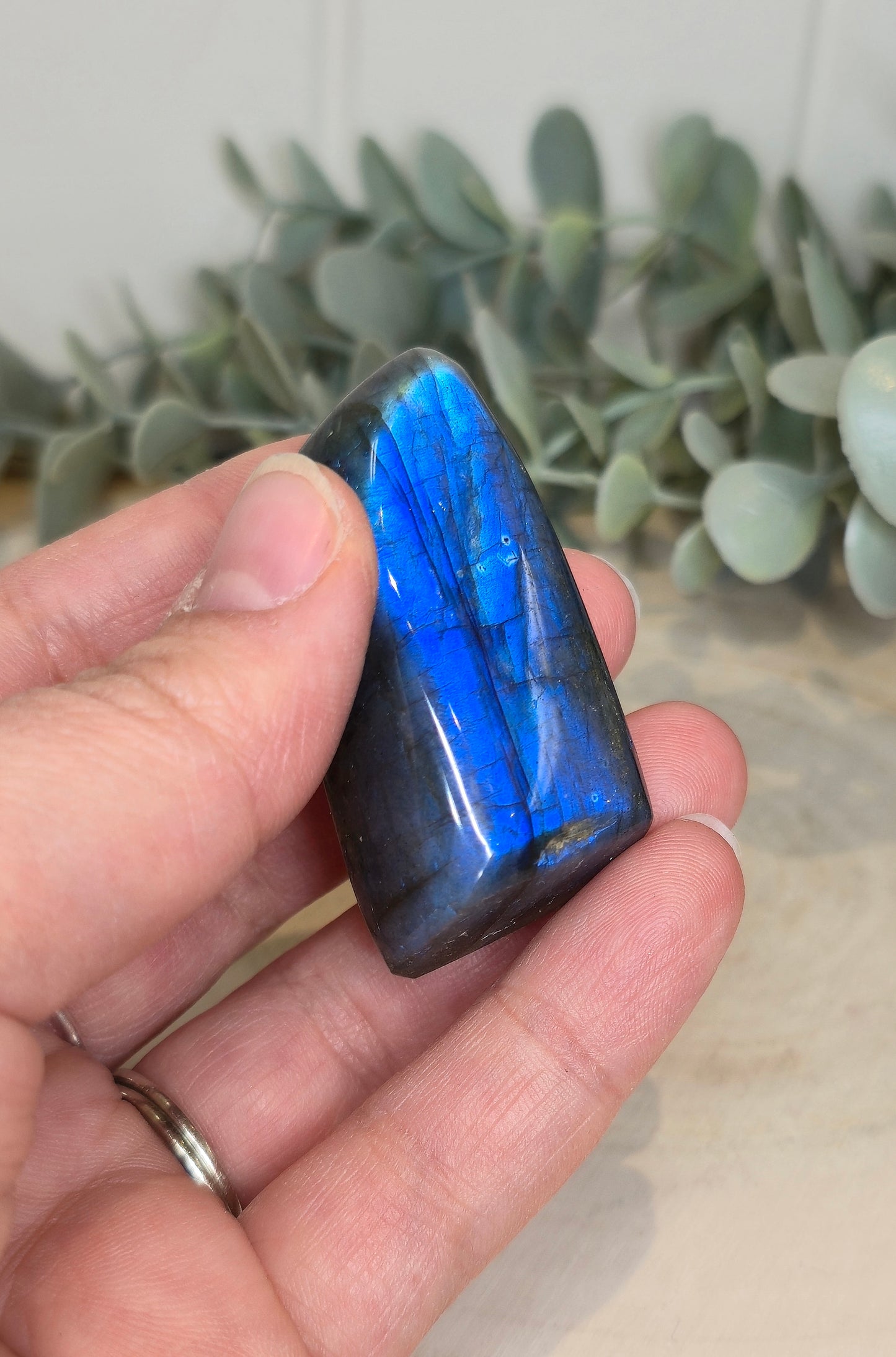 Freeform Labradorite