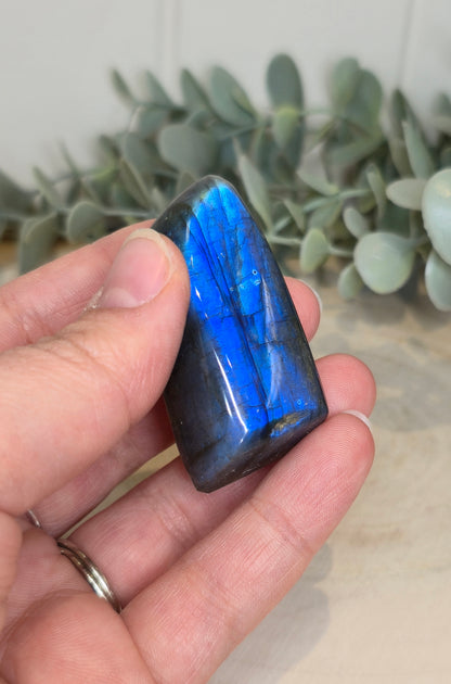 Freeform Labradorite