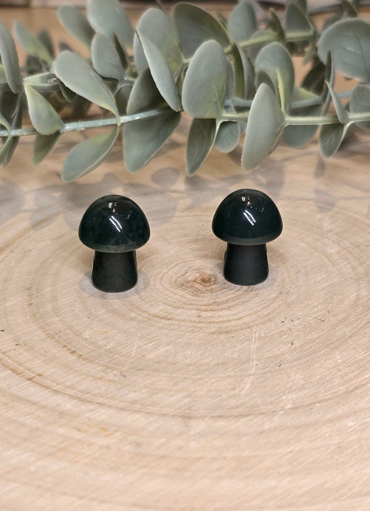 Champignon en Jaspe fantaisie