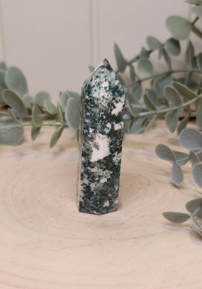 Pointe en Agate arbre