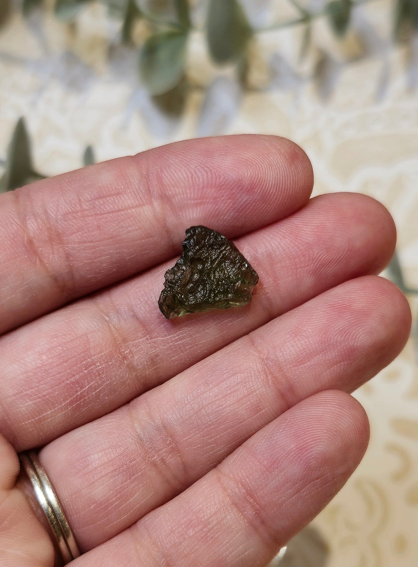 Moldavite brute