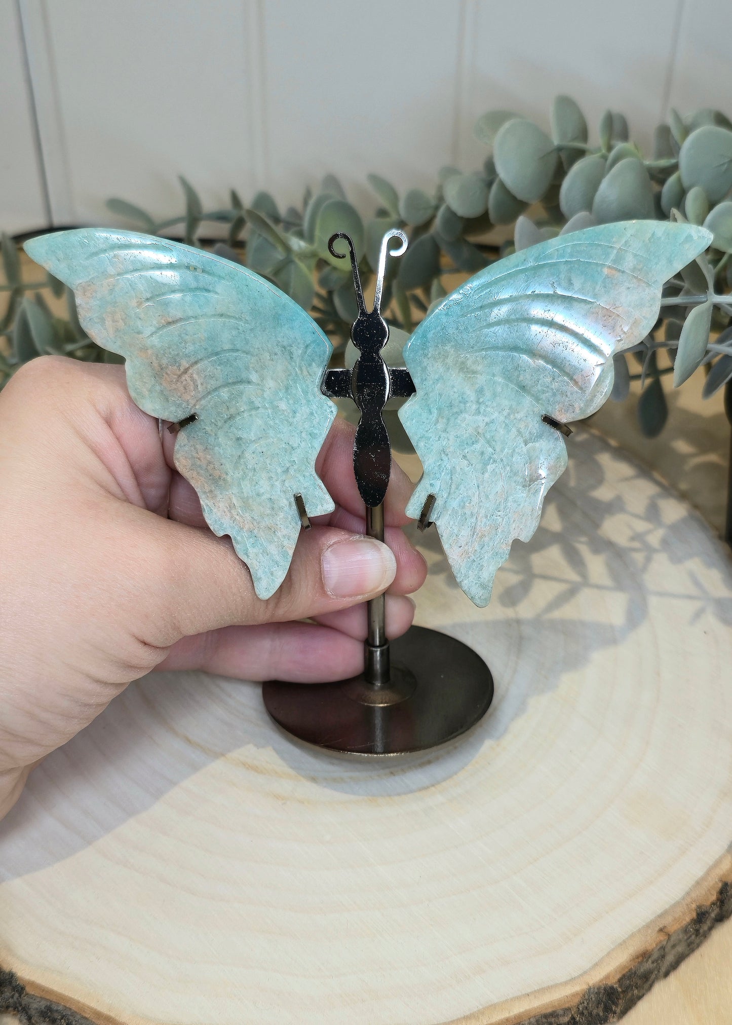 Papillon Amazonite