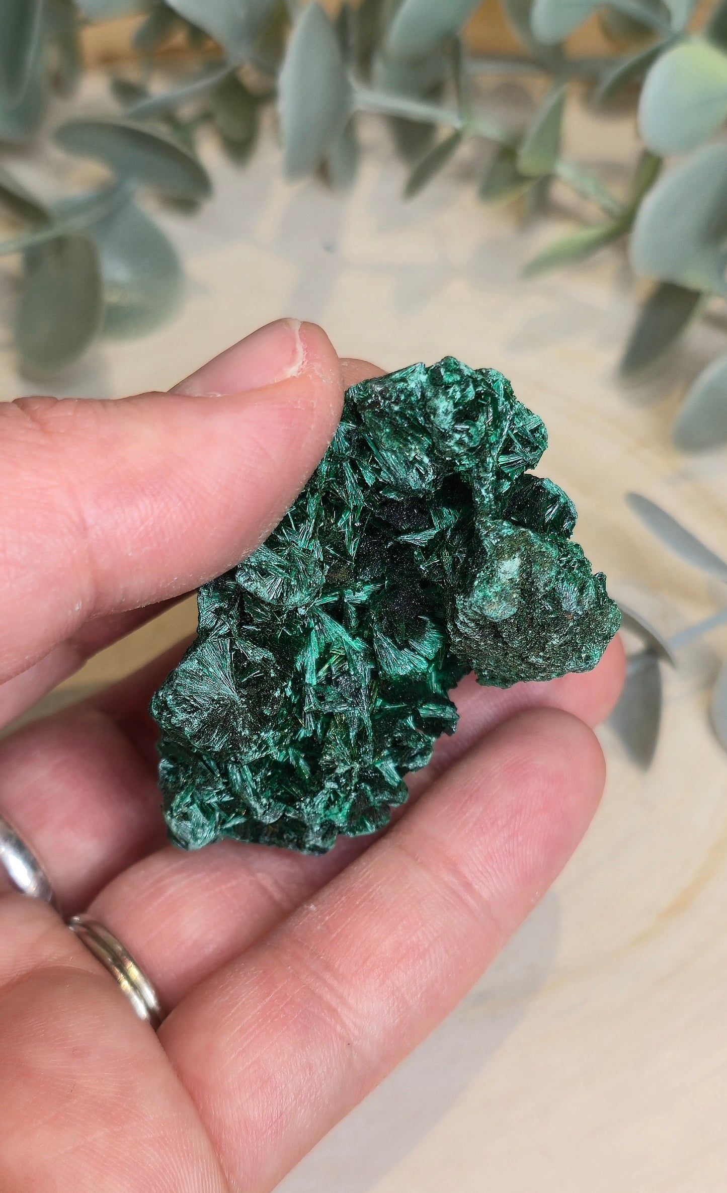 Malachite velour brute de l'Afrique